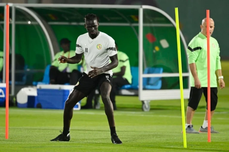PLANNING DES LIONS : SÉANCE D’ENTRAÎNEMENT